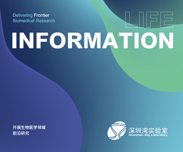 企業(yè)logo標(biāo)志的4大作用